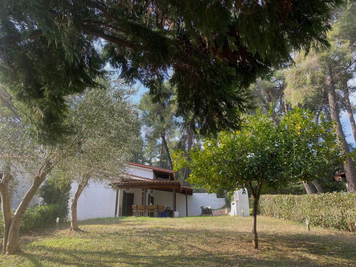 فيلا Sani Garden House المظهر الخارجي الصورة
