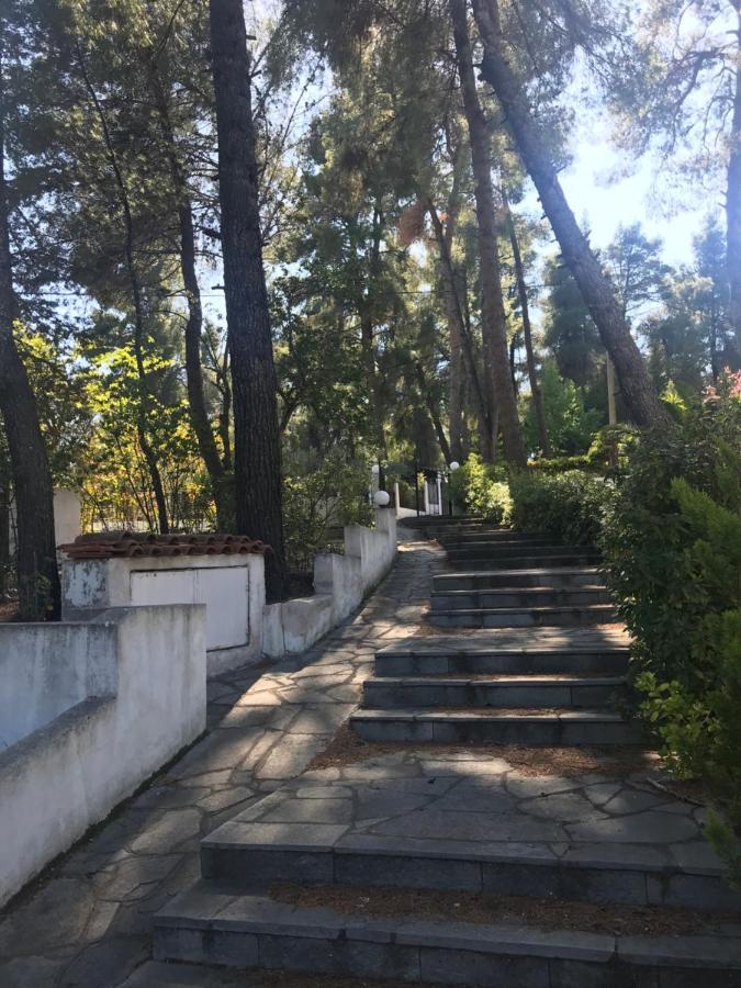 فيلا Sani Garden House المظهر الخارجي الصورة